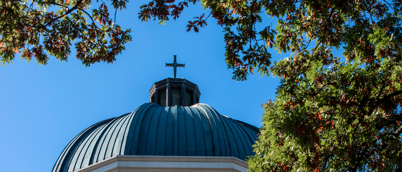 Walsh Library dome outside 1280x660 Image of the Walsh Library's dome outside surrounded by tree branches