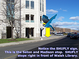 2setonandmadison Seton Hall Shuttle virtual tour stop. Image highlights stop being in front of walsh library.
