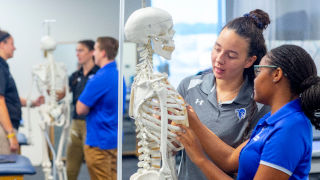 AthleticTrainingStory1x320 Athletic Trainers examining skeleton