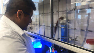 ContainersDataApplicationx320 Student in lab, experimenting