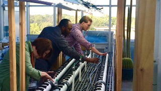 Graduate Student Receives Grant from NASA Daniel Piatek, Ph.D. candidate Sauvelson Auguste, and Professor Mary Berger working on their plants.