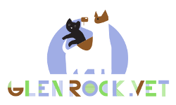 Glen Rock Vet logo Logo for Glen Rock Vet including and cat and a dog cartoon.
