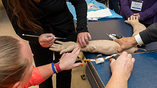 Nursing students practicing in immersion class Nursing students practicing injections on a fake arm.