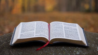 open-bible-x320 Bible laid open on top of a rock in a forest