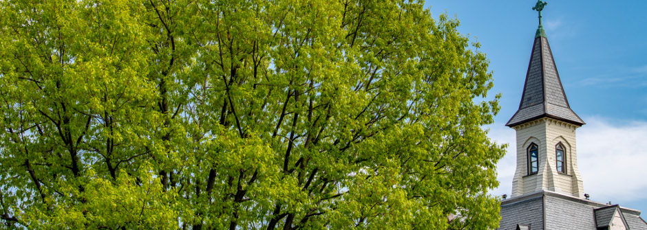 President's Hall and a tree on campus.