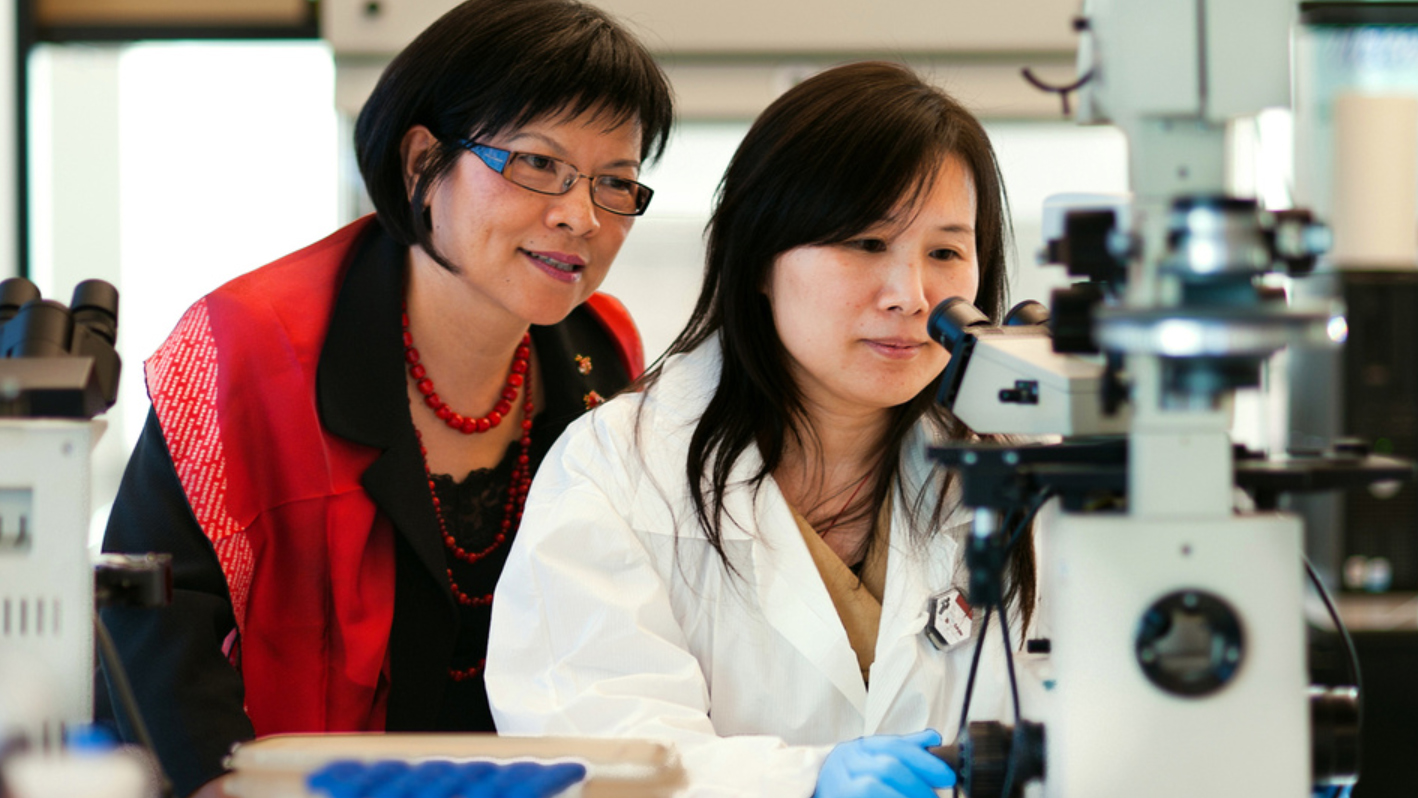 Experiential Fellowships Faculty and Student working together