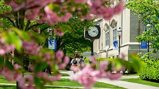 Spring trees on campus