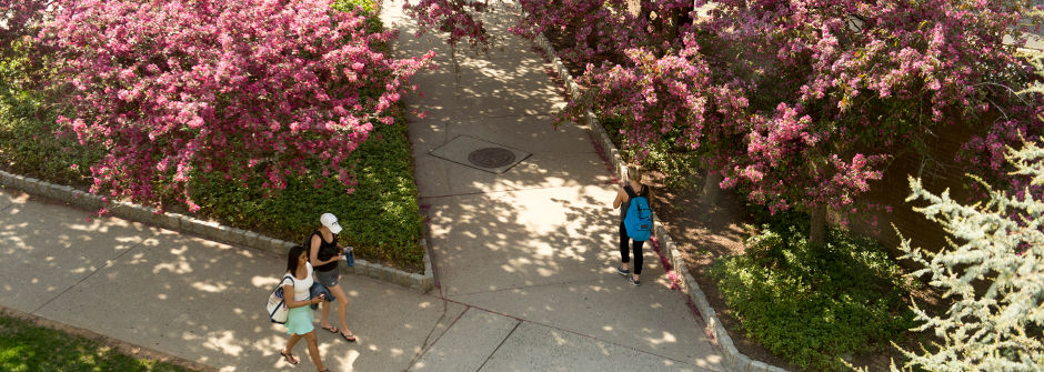 A group of students walking on campus =.